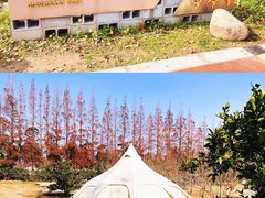 -前小桔亲子创意农场·草莓采摘·露营烧烤
