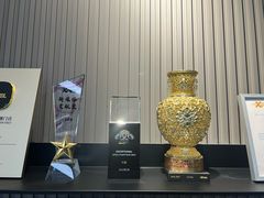 -跃通XPEL超级旗舰店(浦东店)