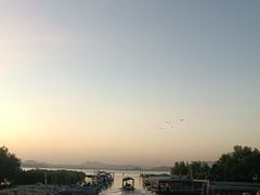 -盐洲岛