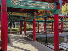 -沈阳二四五医院