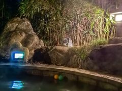 -楼观道温泉酒店