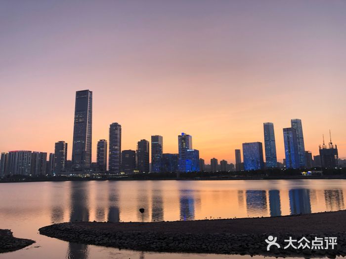 深圳人才公园图片