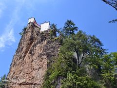 -牛背梁国家森林公园