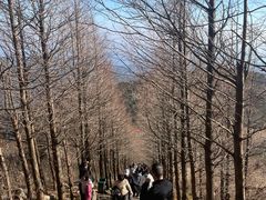 -东白山