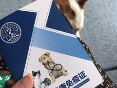 -天津前进宠物医院(前进道店)