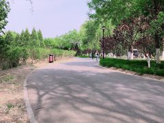 -永定河休闲森林公园