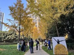 -惠洛克国际儿童之家(绿博园中心)