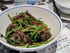 -壹盏灯(惠农店)