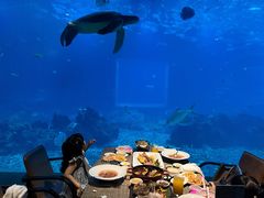 -海棠湾洲际-涛·海底餐厅·美人鱼·自助餐·海底隧道