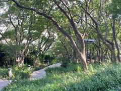 -青岛海滨风景区小鱼山