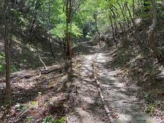 -玉渡山自然风景区