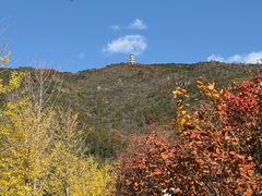-北京十三陵国家森林公园蟒山景区