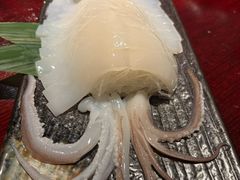 日本长崎枪鱿鱼-九州酒场ひこぞう(1号店)