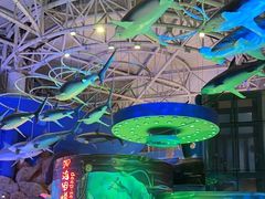 -烟台海昌鲸鲨海洋公园