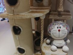 -藏猫猫咖啡主题馆(中央大道店)