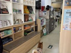 -宠福鑫康馨动物医院·骨科·眼科