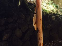 -有马温泉 竹取亭円山温泉旅馆