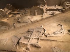 -洛阳周王城天子驾六博物馆