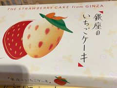 -关西国际机场直营免税店