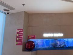 -老板恋上鱼(恒隆广场店)