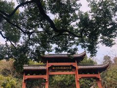 -杭州半山国家森林公园