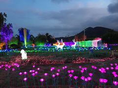 -亚龙湾国际玫瑰谷