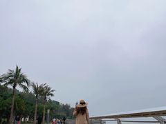 -野狸岛