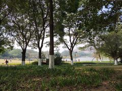 -东莞植物园