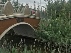 -上海长兴岛郊野公园