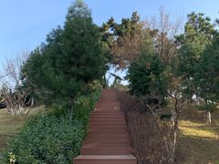 -鹦鹉寺公园