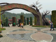 -绵阳盛世樱花悠乐谷