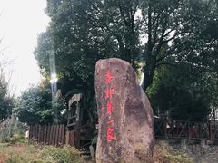 -龙坞茶村