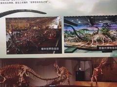 -北京周口店北京人遗址博物馆