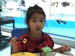 -帝企鹅自助餐厅•儿童岛•真企鹅(长隆企鹅酒店)