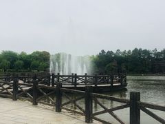 -上海鲜花港