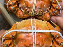 -黄记大闸蟹专卖店·活蟹·醉蟹