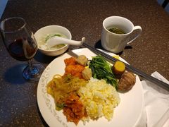 -虹桥机场国航贵宾室v8