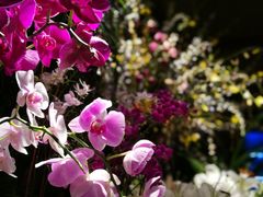 -春暖花开(西溪店)
