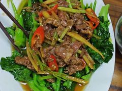 -肥弟大排档(汕樟路店)