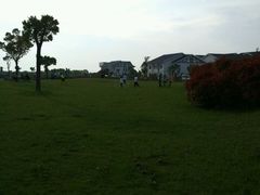 -明珠湖天鹅苑·农家菜馆