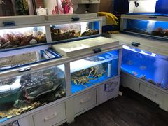 -真情鲍鱼海鲜汤