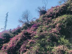 -仙岳公园