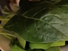 -阿源鱼捞斑鱼火锅·海鲜粥(山景尚宅店)