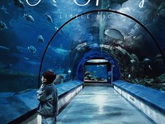 -福州罗源湾海洋世界旅游区