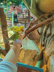 -酷嗒动物文化乐园(cutezoo西溪乐天城店)