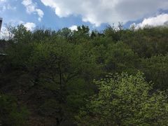 -黑龙潭风景区