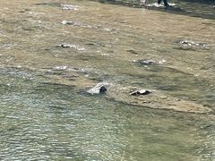 -东坝千亩湖公园