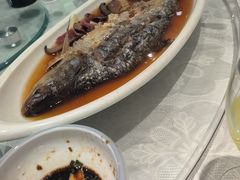 鲥鱼-金八仙酒店