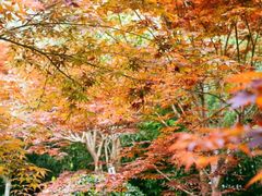 -湖滨客舍·湖北菜