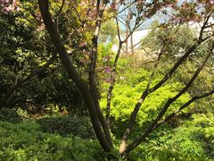 -杭州半山国家森林公园